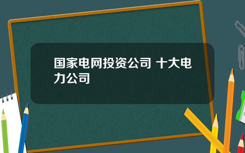 国家电网投资公司 十大电力公司